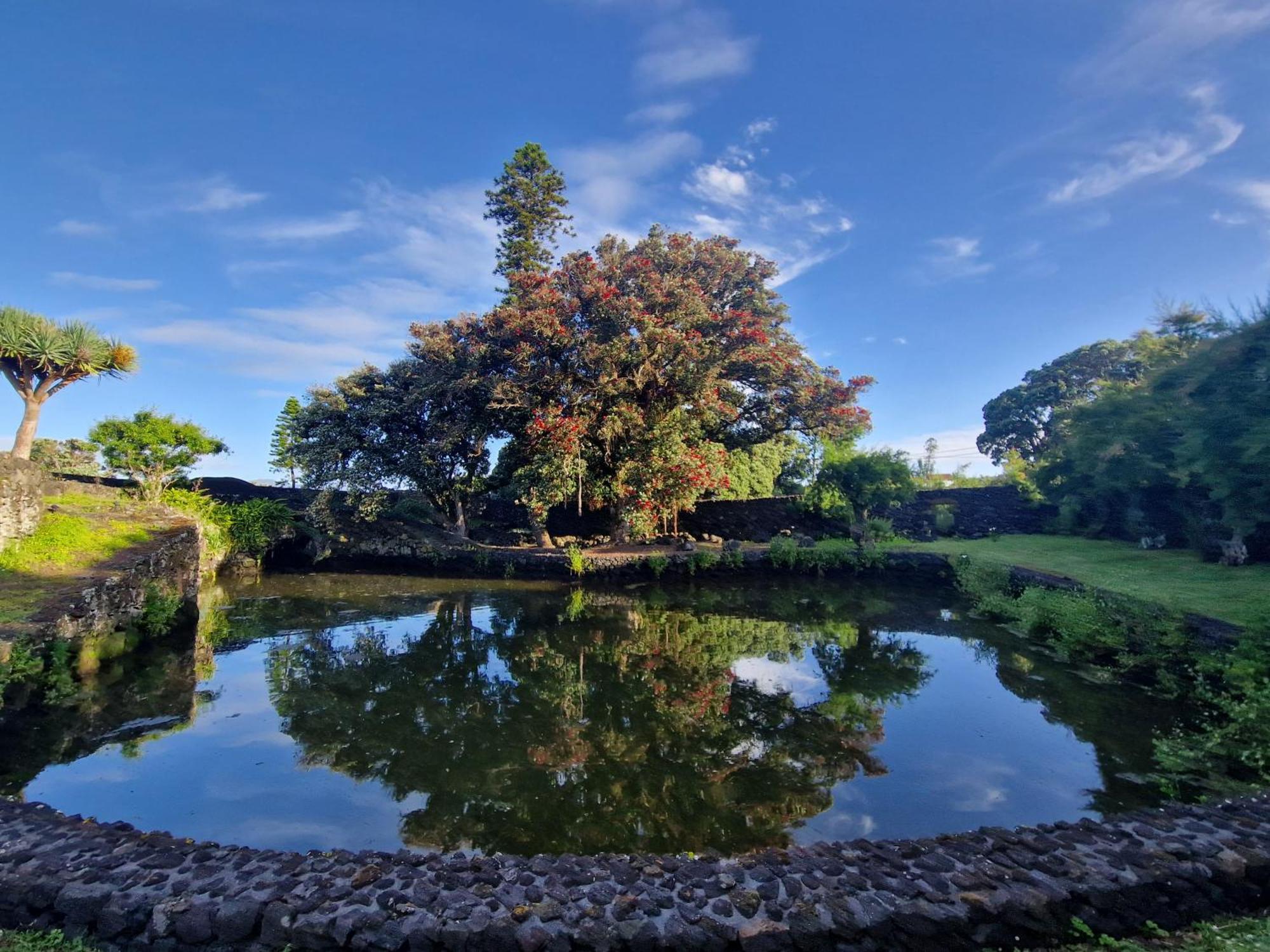 Solar Dos Limas Villa Criacao Velha Dış mekan fotoğraf